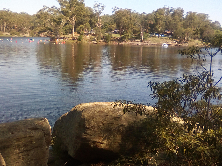 Lake Parramatta