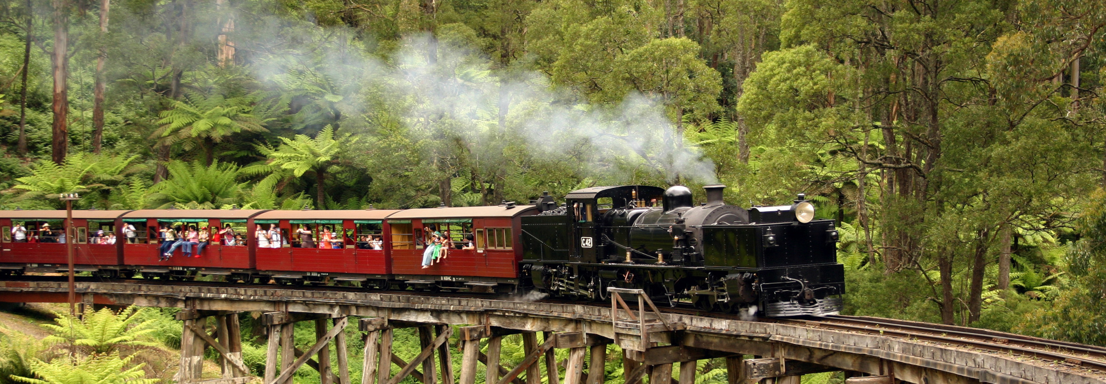 puffing billy train at dandenong ranges