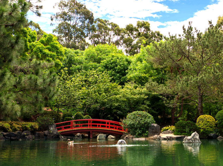 Japanese Garden in Auburn, Australia