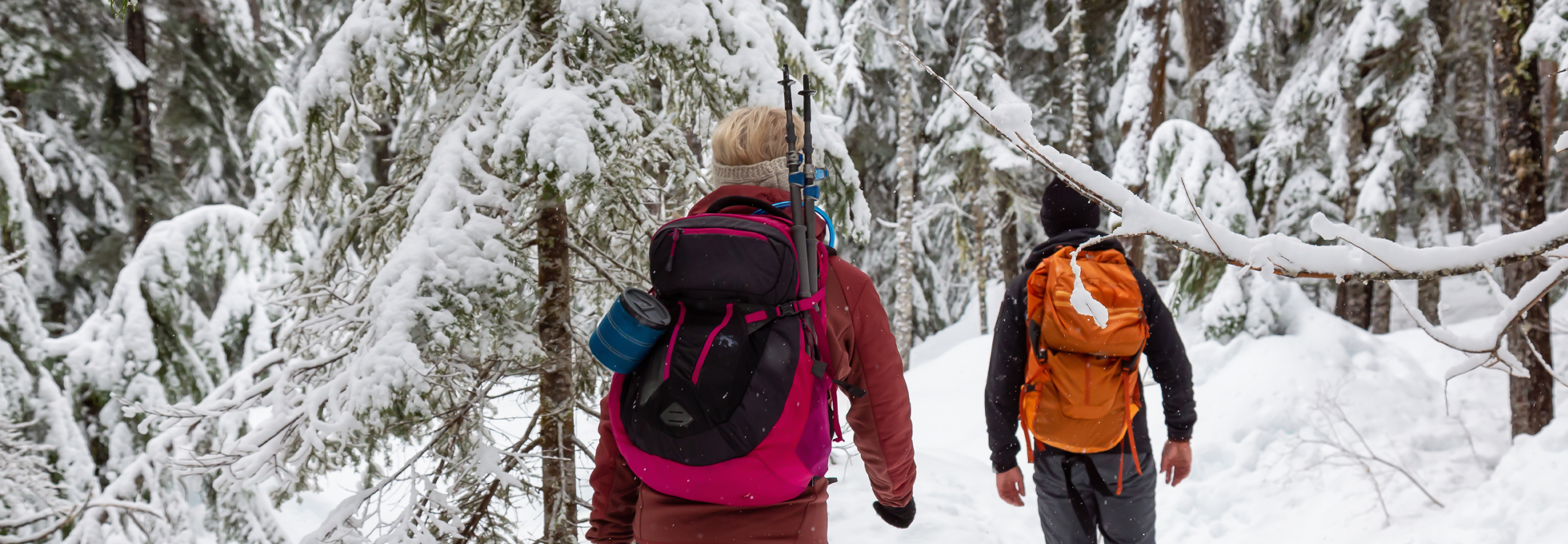 Snowshoeing in Whistler