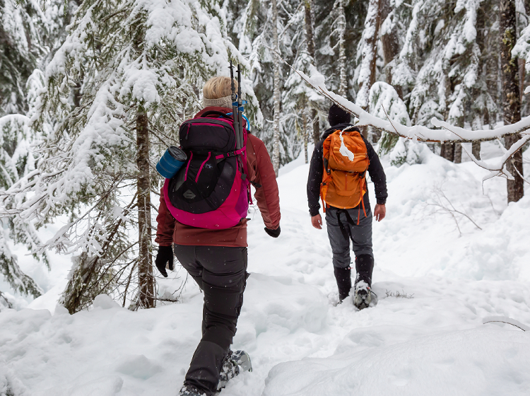 Snowshoeing in Whistler