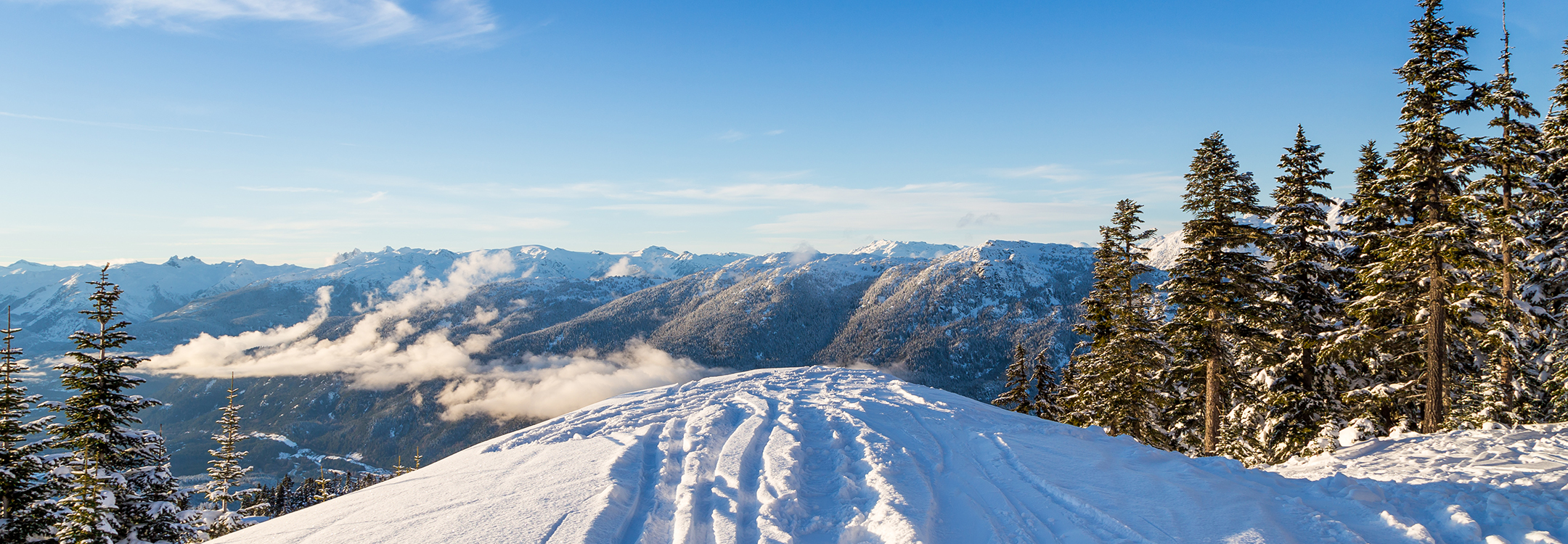 whistler mountain