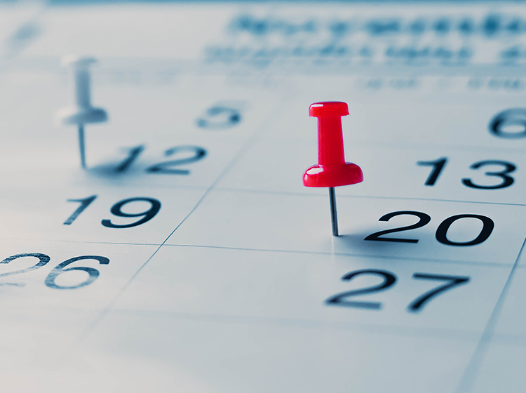  pinning a calendar