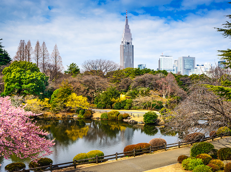 shinjuku gyoen park tokyo japan