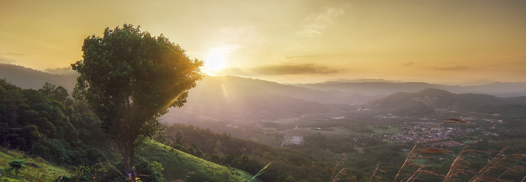 Sunrise at Broga Hill