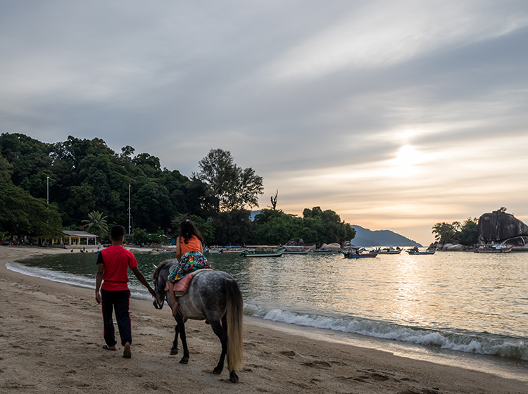 Horseback riding on a beach