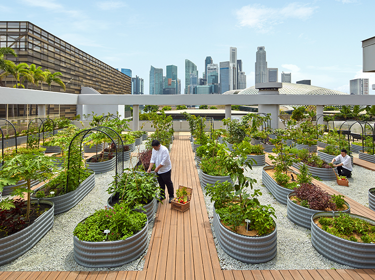 PARKROYAL COLLECTION Marina Bay