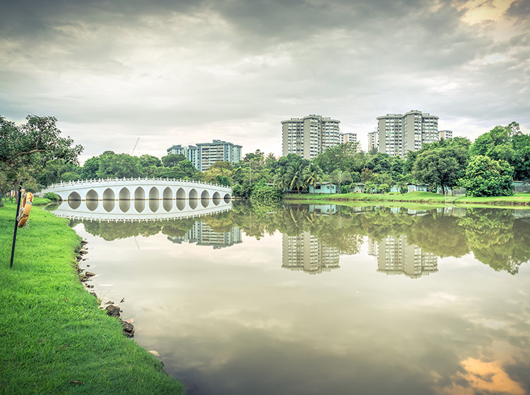 View from Jurong Lake Garden