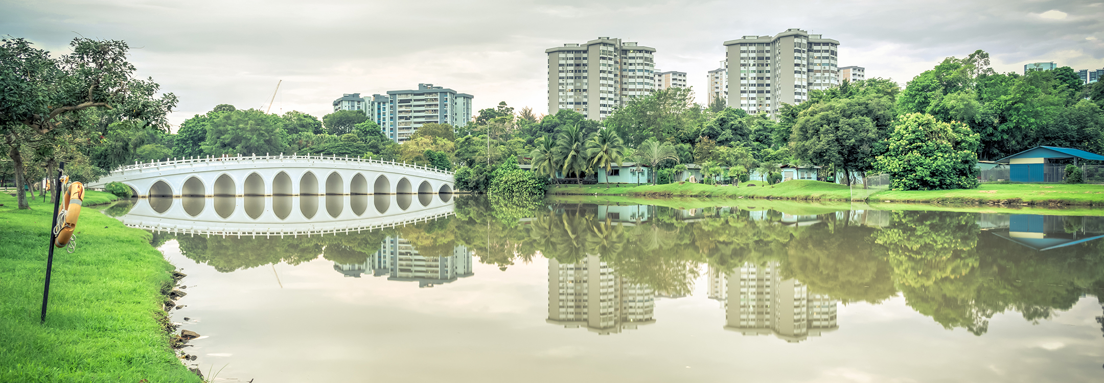 View from Jurong Lake Garden
