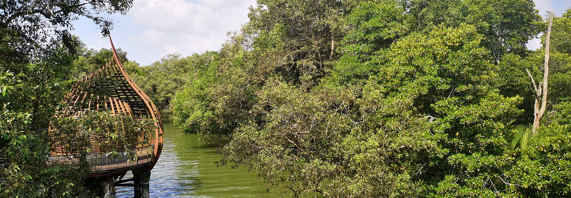 sungei buloh