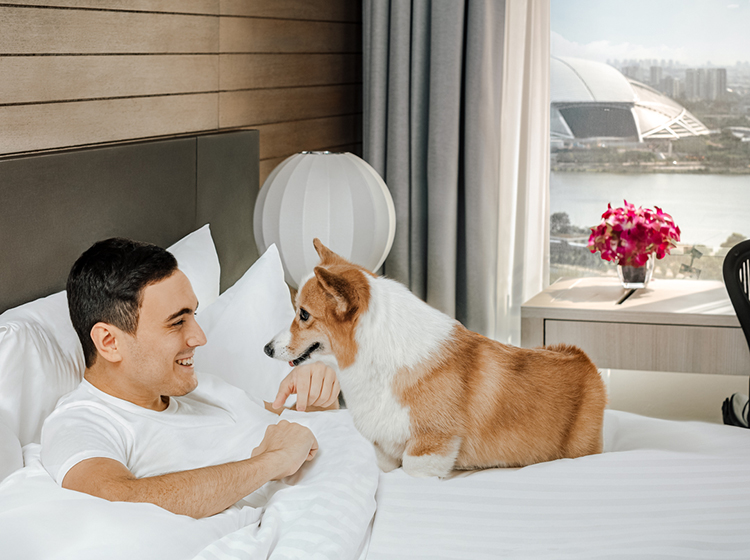 pet-friendly ParkRoyal Serviced Suites