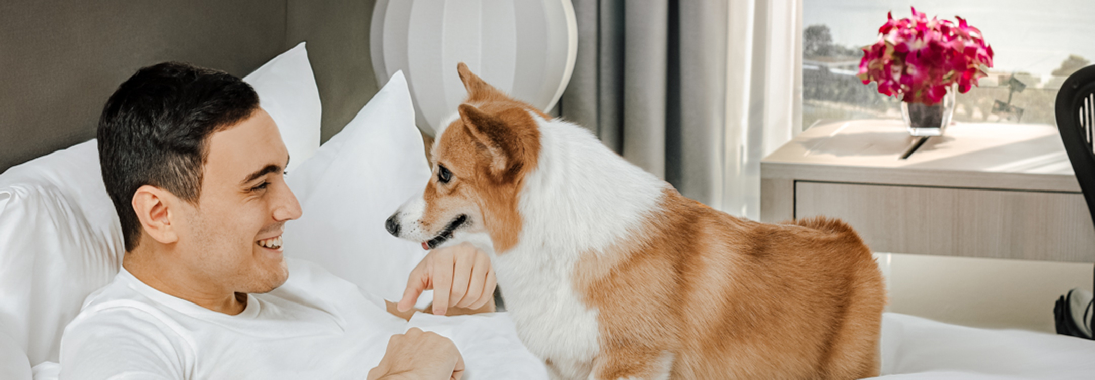 pet-friendly ParkRoyal Serviced Suites