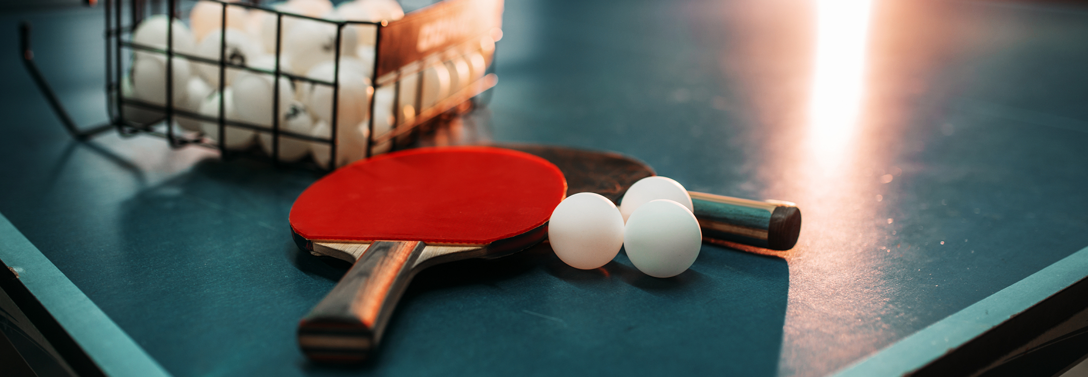 table tennis singapore
