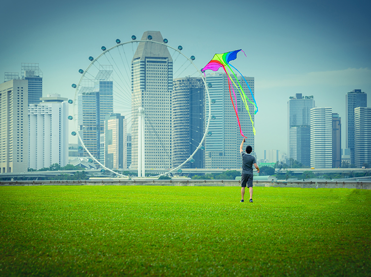 kite-flying at Marina Barrage