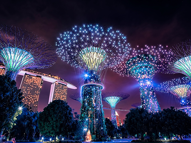 Night time at the Supertrees at Gardens by the Bay
