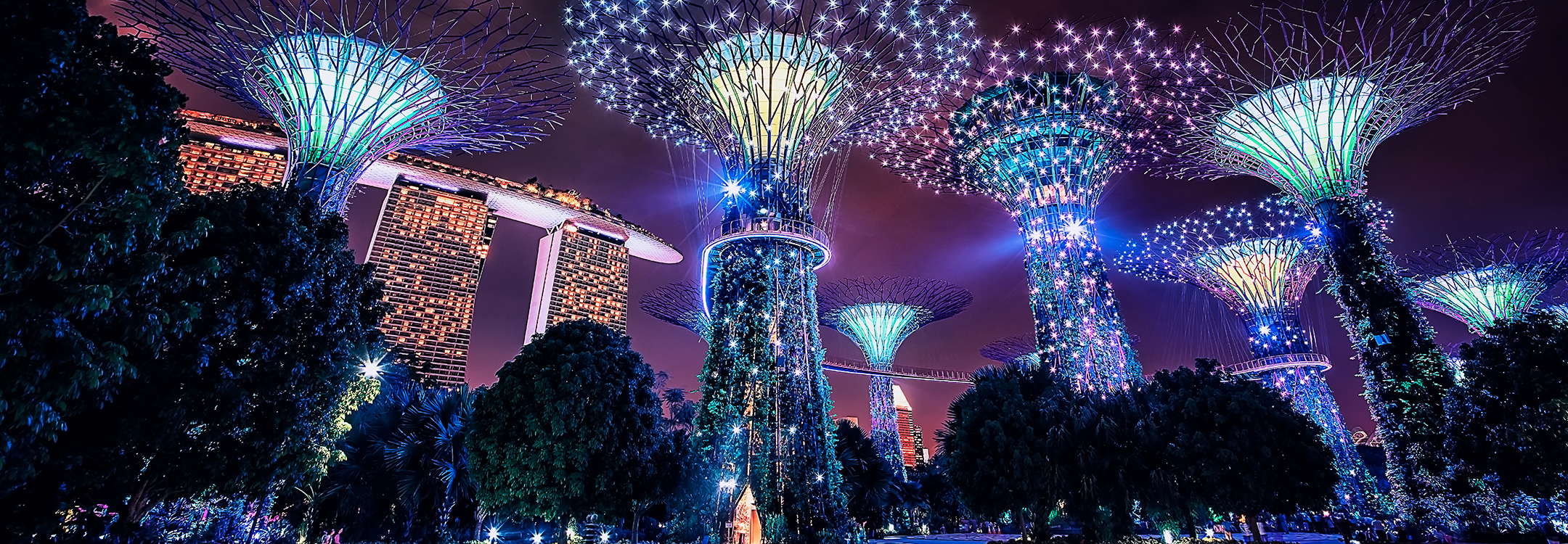 Night time at the Supertrees at Gardens by the Bay