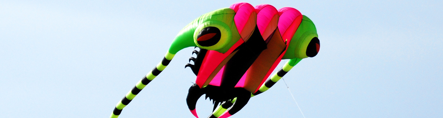  Kite Flying at Marina Barrage Singapore