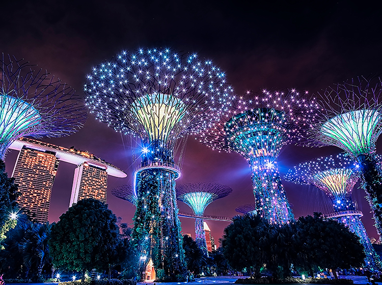 Supertree Grove illuminated at night
