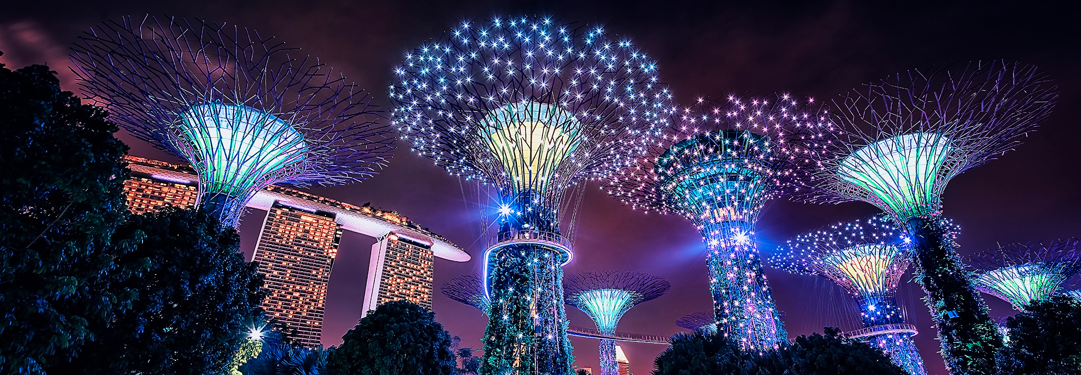 Supertree Grove illuminated at night
