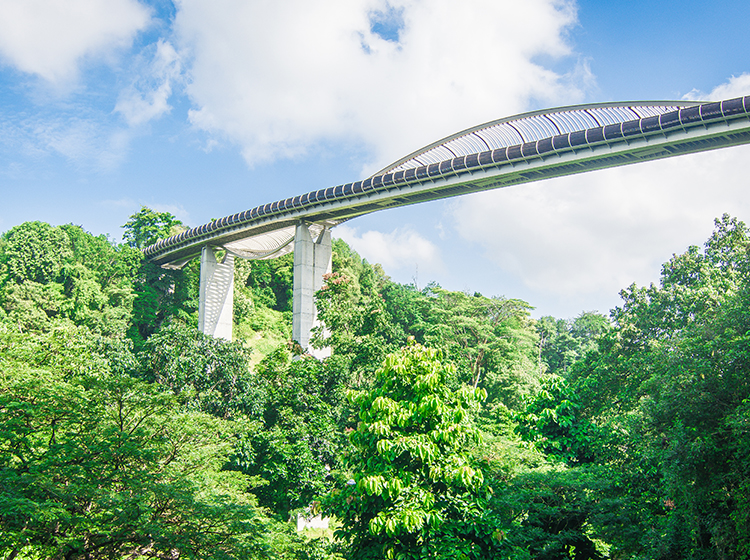 view of Henderson Waves bridge from below