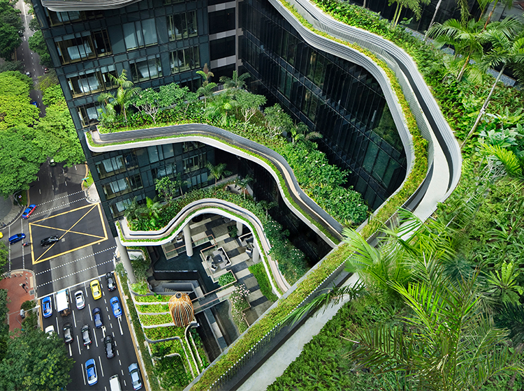 Sky Garden