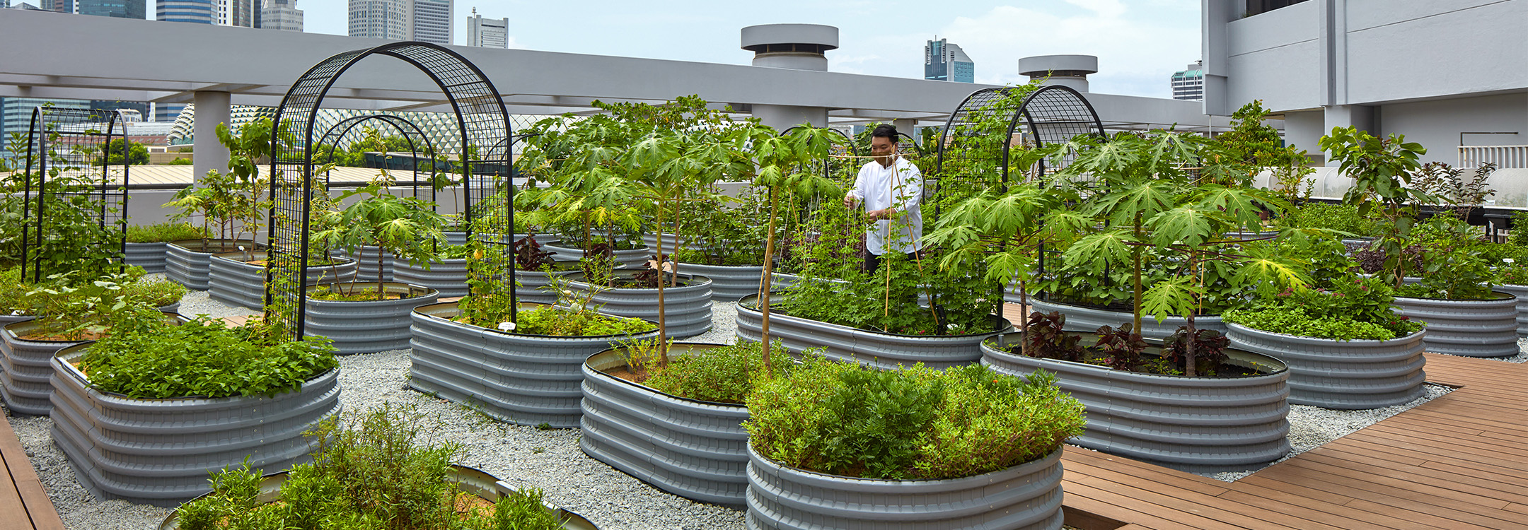 Peppermint’s Urban Farm