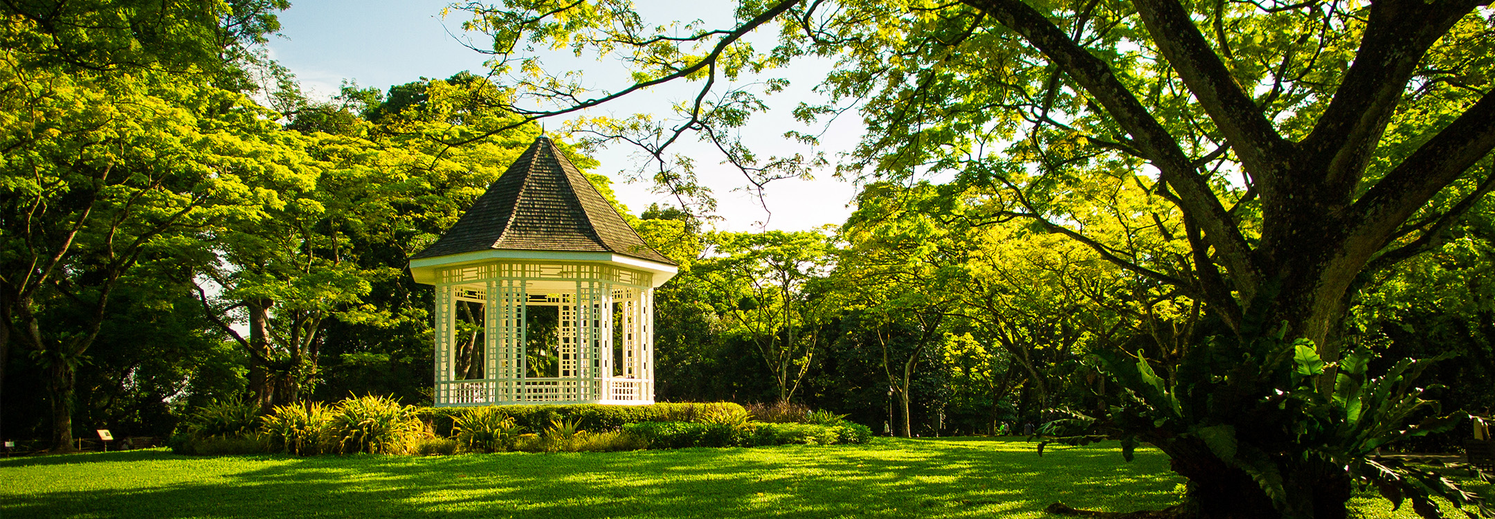 Singapore Botanic Gardens