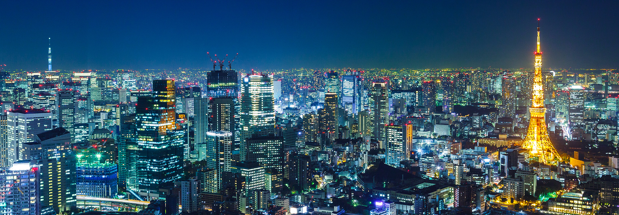 tokyo skyline night