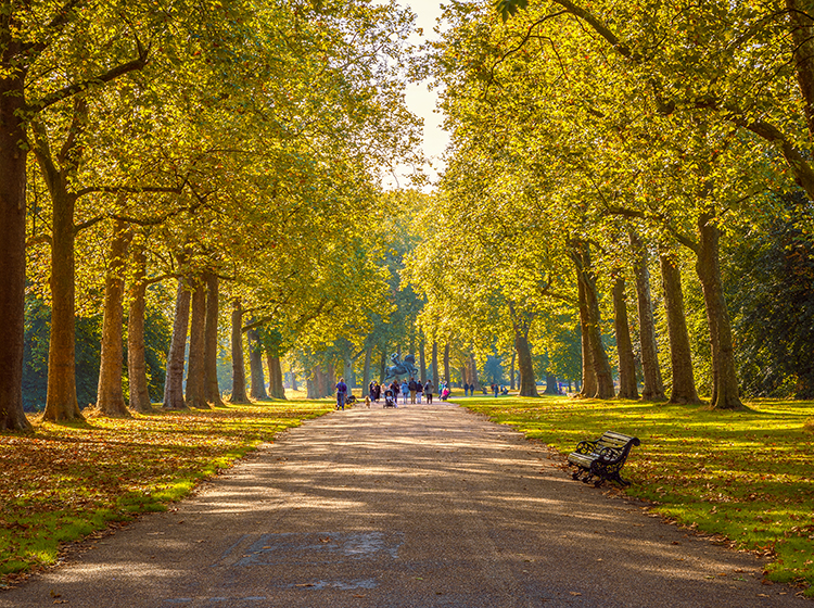 hyde park