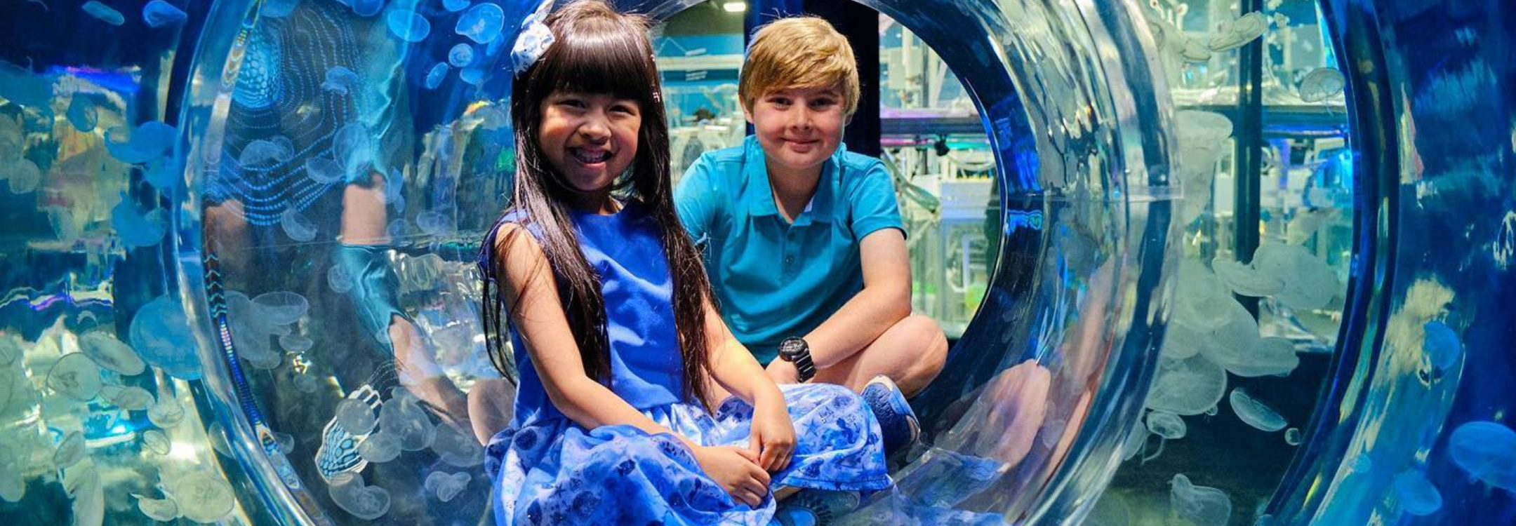 Top Family Activities this Summer 