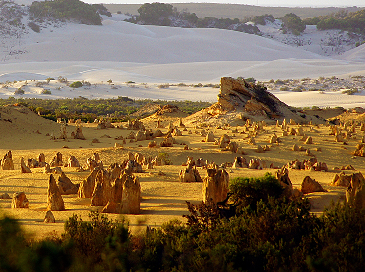Nambung National Park, Perth, Australia