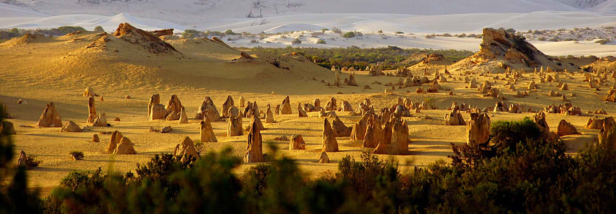 Nambung National Park, Perth, Australia
