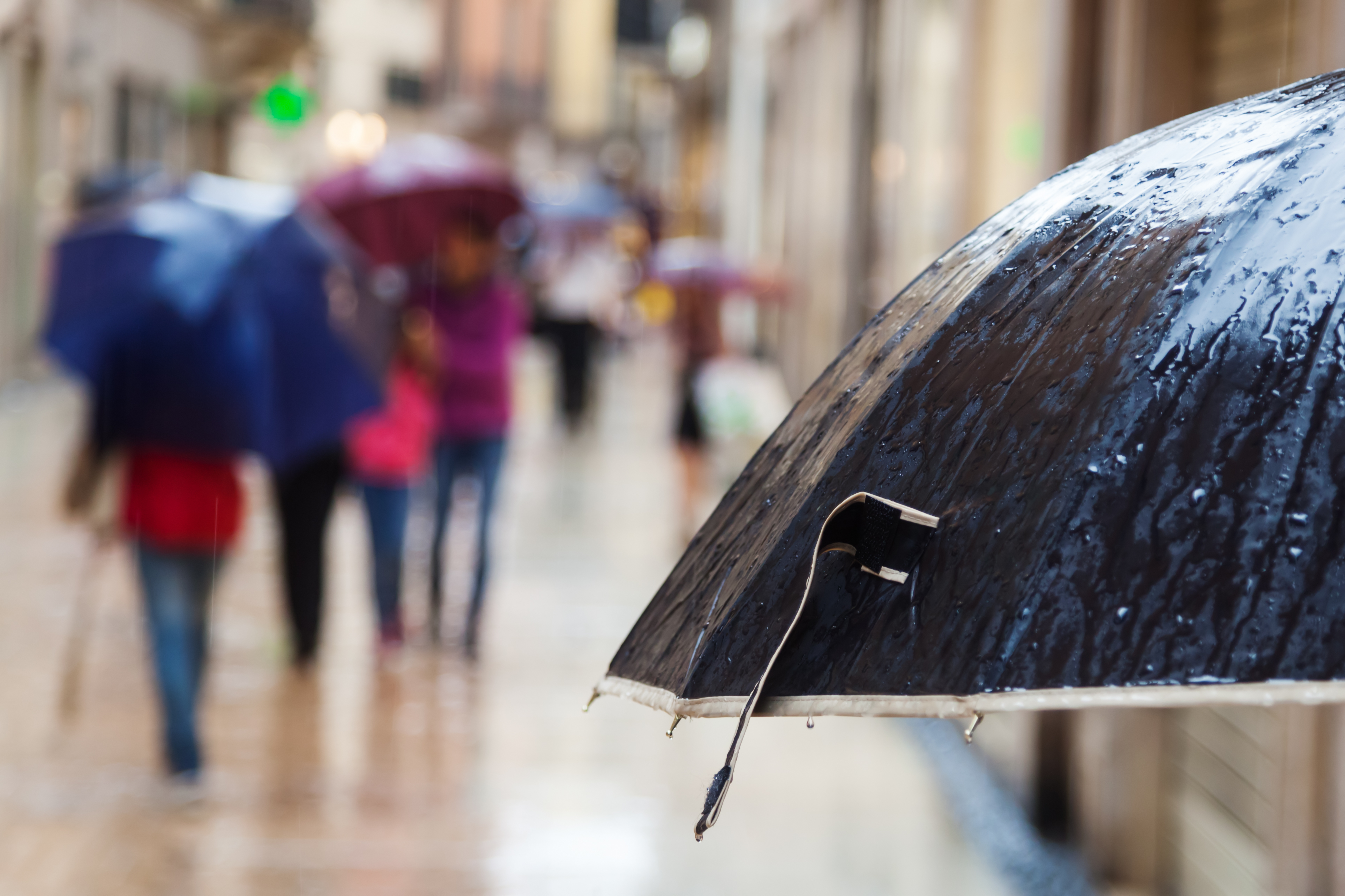 umbrella rainy city