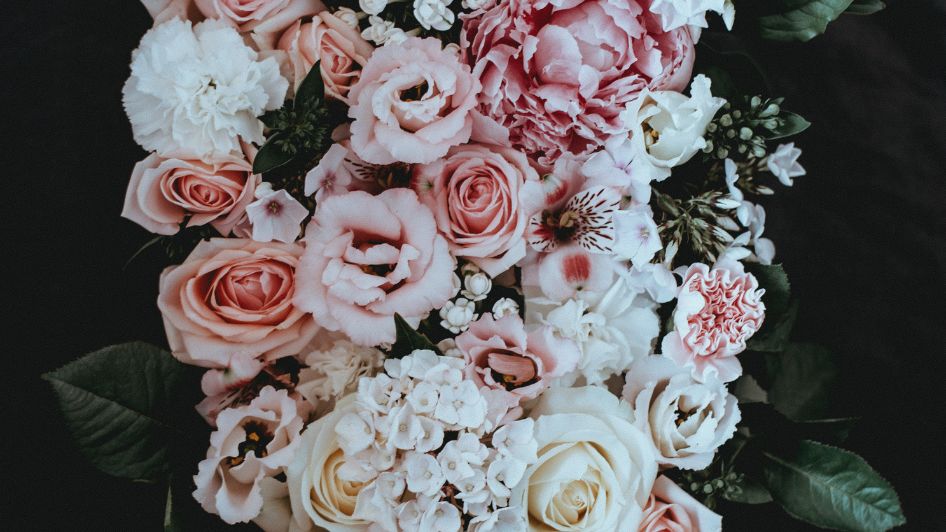 Ode to Spring