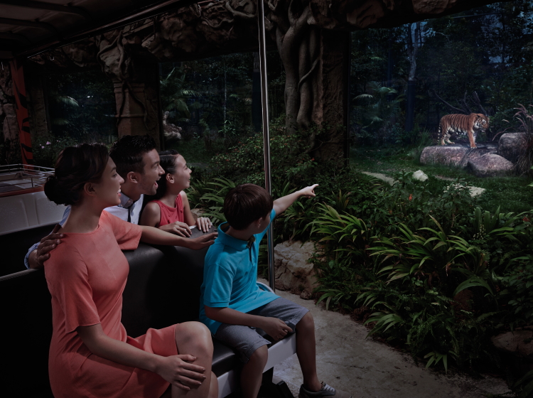 Viewing Night Safari exhibit from a tram