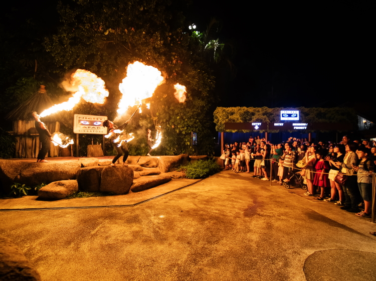 Fire performance at the Night Safari