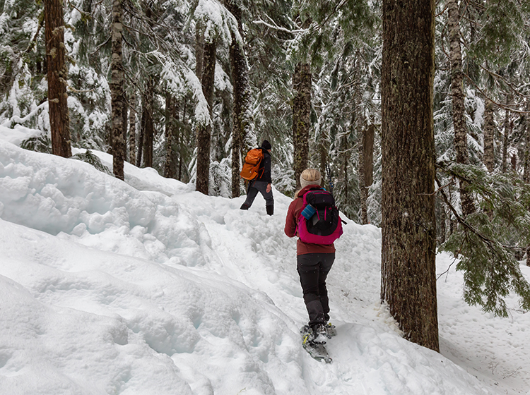 Snowshoeing in Whistler