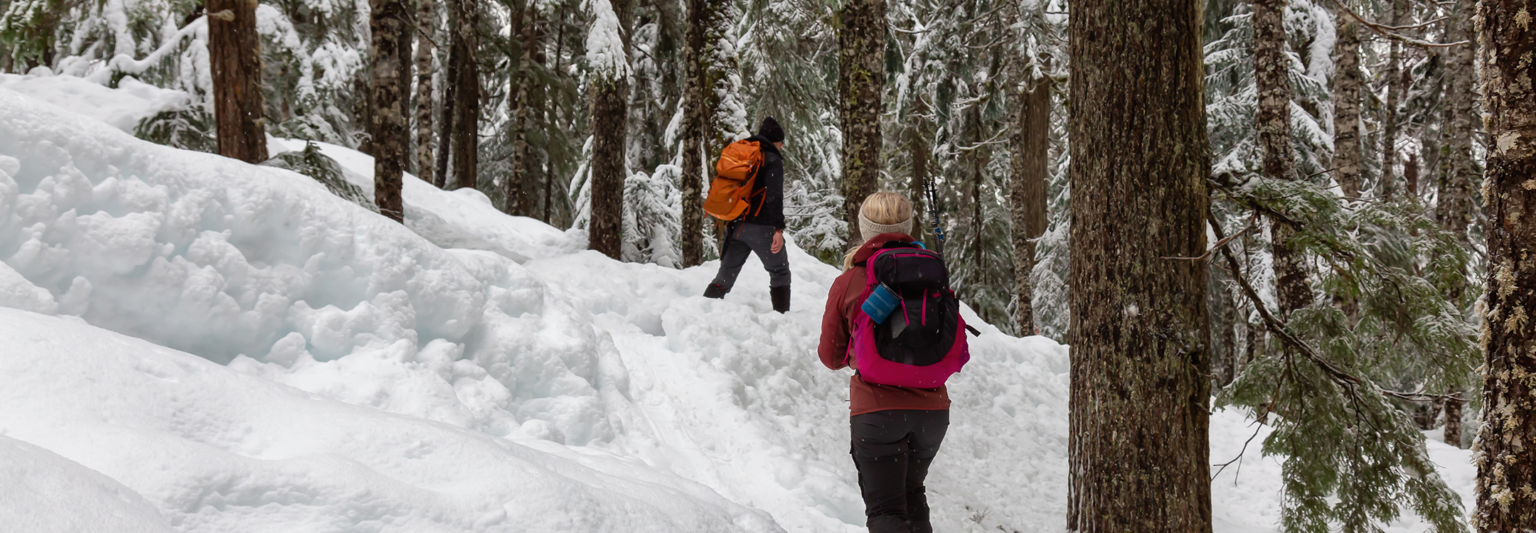 Snowshoeing in Whistler