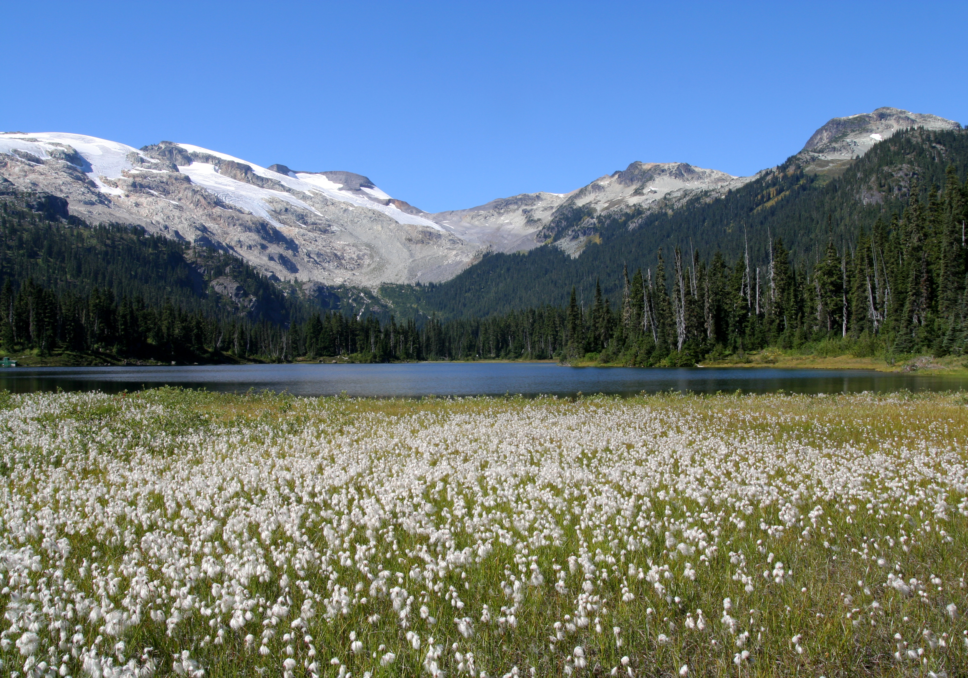 conflict lake, callaghan valley, british columbia, canada