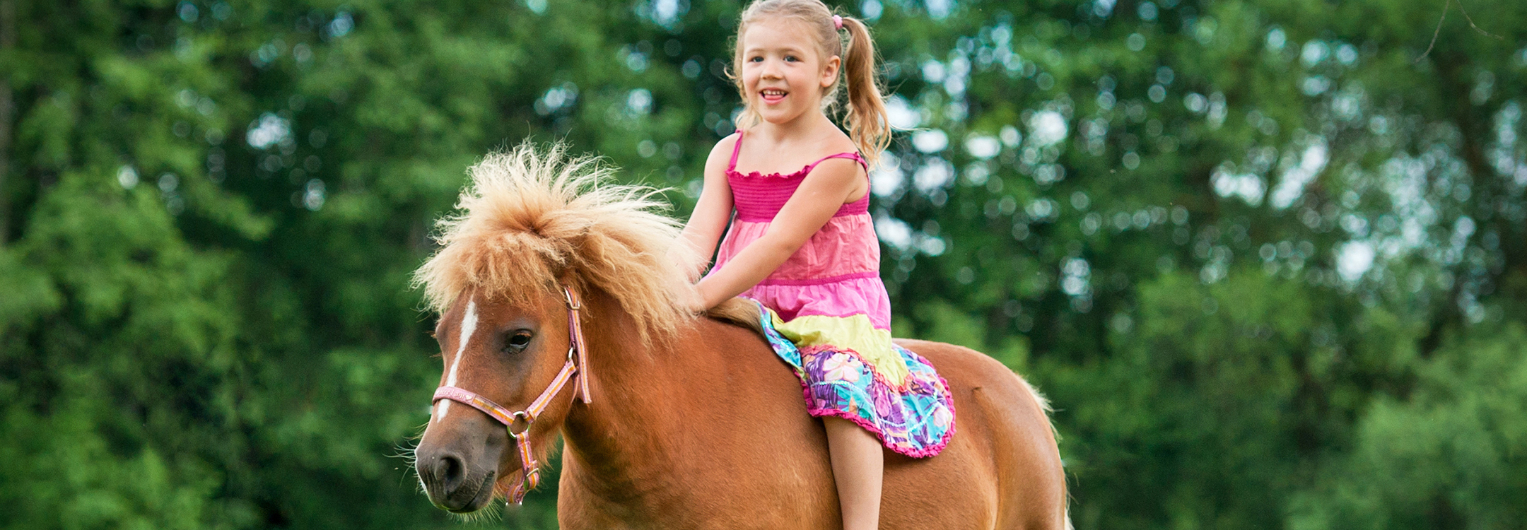 pony-ride-southlands-heritage-farm.jpg