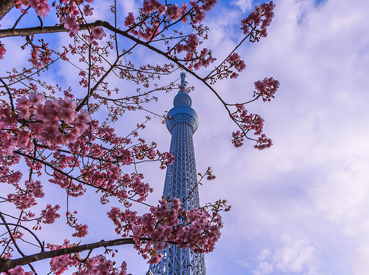  tokyo skytree 