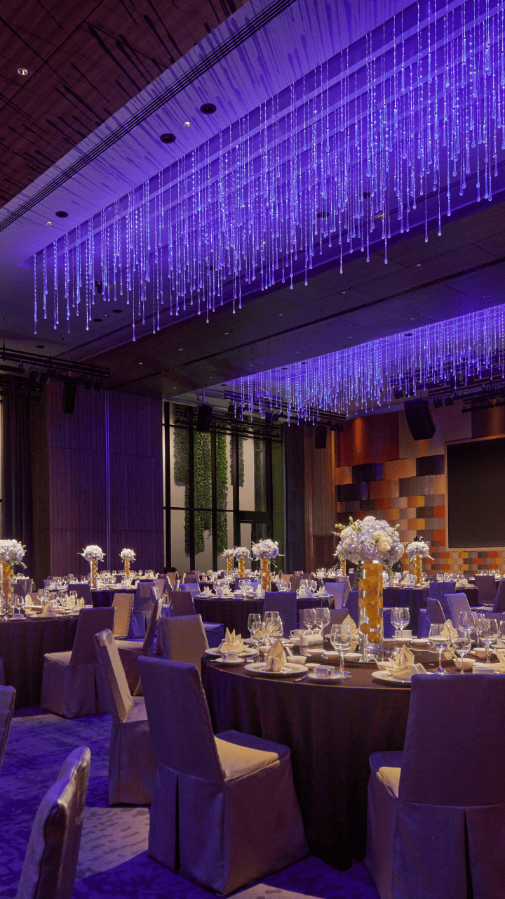 Awards and Gala Celebrations