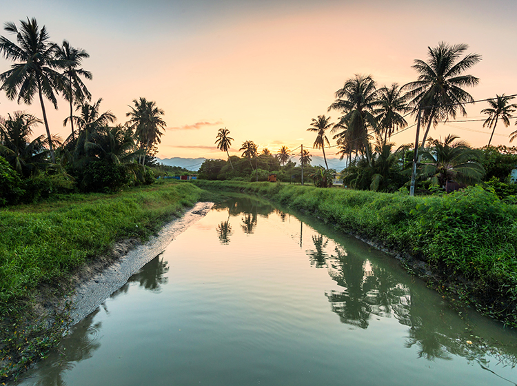 balik pulau penang malaysia