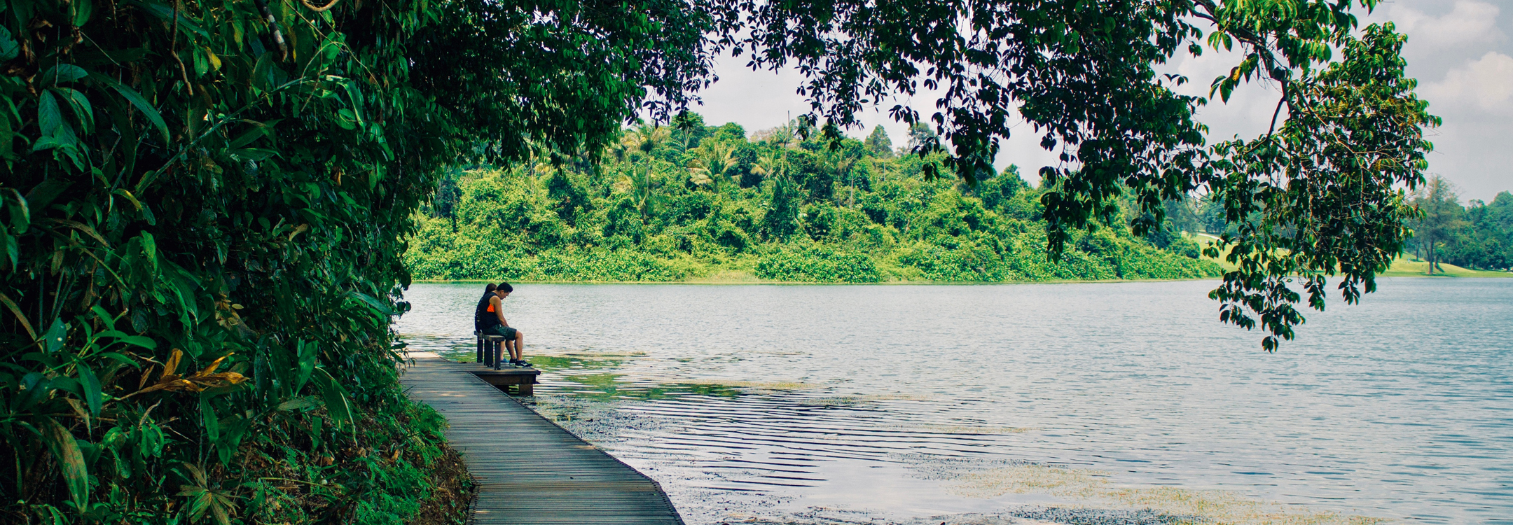 macritchie reservoir boardwalk singapore