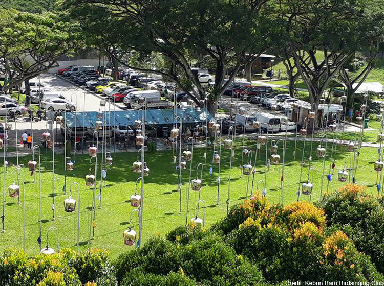 kebun baru birdsong