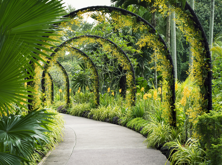  trellis at singapore orchid garden
