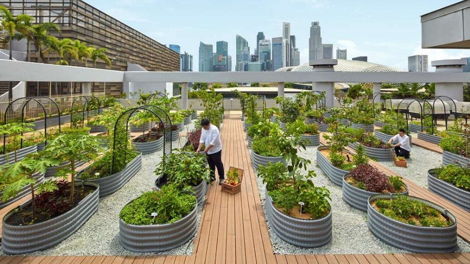 Urban Farm
