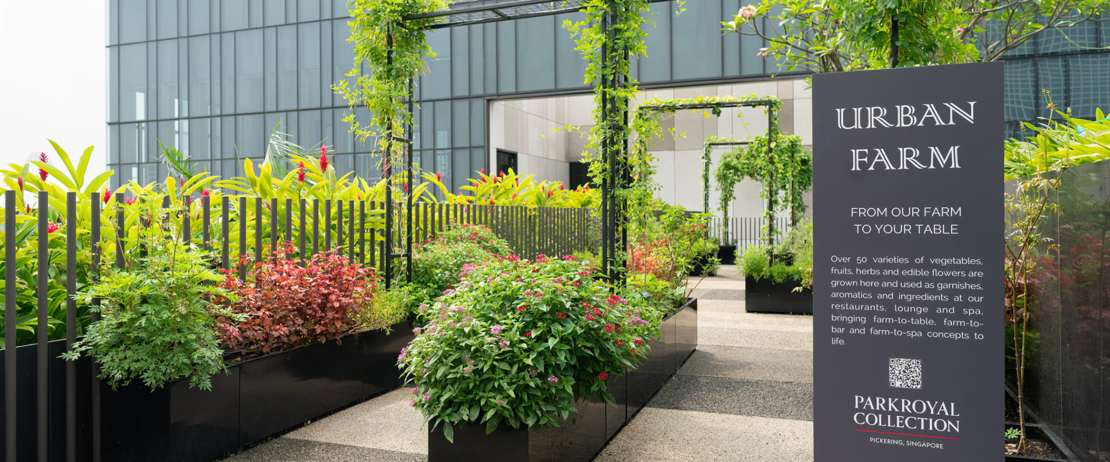 Urban Farm and Hydroponics Farm