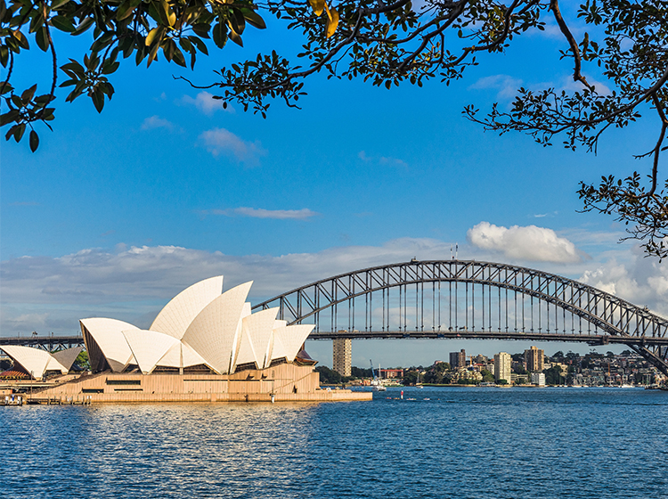 Sydney Cityscape