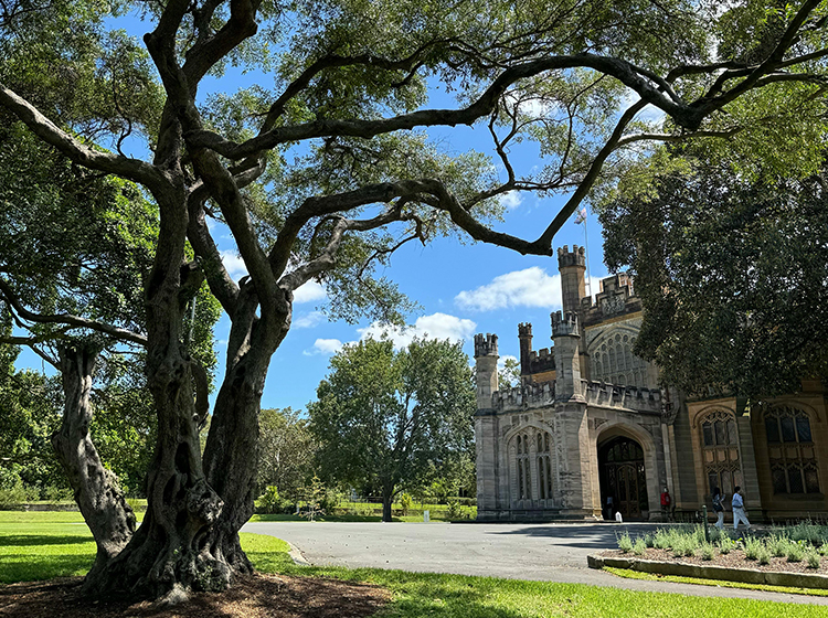 Royal Botanic Gardens, Sydney Photo by Petra Nesti 